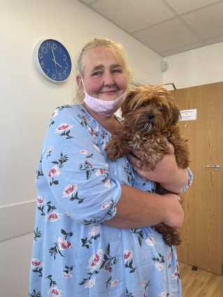 Illustration de l'article : Cette famille s’apprête à retrouver son chien disparu 9 mois plus tôt, mais une autre personne affirme en être la propriétaire  