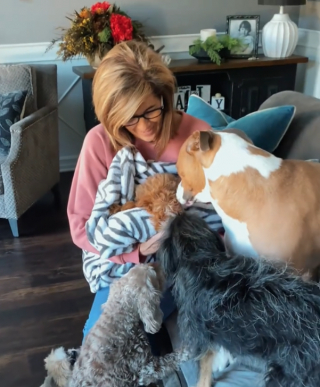 Illustration de l'article : Ce chiot se donne du mal pour convaincre son grand frère de lui donner un peu d’amour (vidéo)