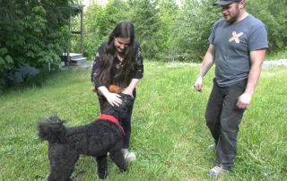 Illustration de l'article : Un couple roule accidentellement sur son chien avec sa voiture et ne retrouve sa trace qu’après 24 heures