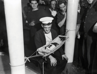 Illustration de l'article : 14 photos saisissantes de chats accompagnant des marins sur les navires pendant la guerre