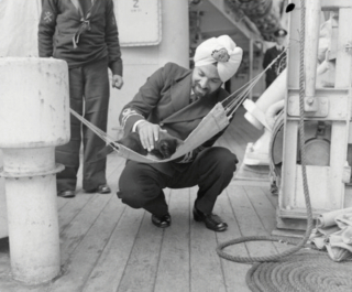 Illustration de l'article : 14 photos saisissantes de chats accompagnant des marins sur les navires pendant la guerre