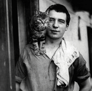 Illustration de l'article : 14 photos saisissantes de chats accompagnant des marins sur les navires pendant la guerre