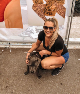 Illustration de l'article : « Kaia est mon âme-sœur » : une femme partage sa reconnaissance envers sa chienne dans une vidéo poignante