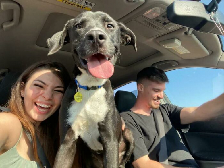 https://www.pets-dating.com/assets/ckeditor/2023/jun/actualities/2069/xl/xx-photos-touchantes-et-porteuses-d-espoir-d-animaux-adoptes-459aa4856.jpg