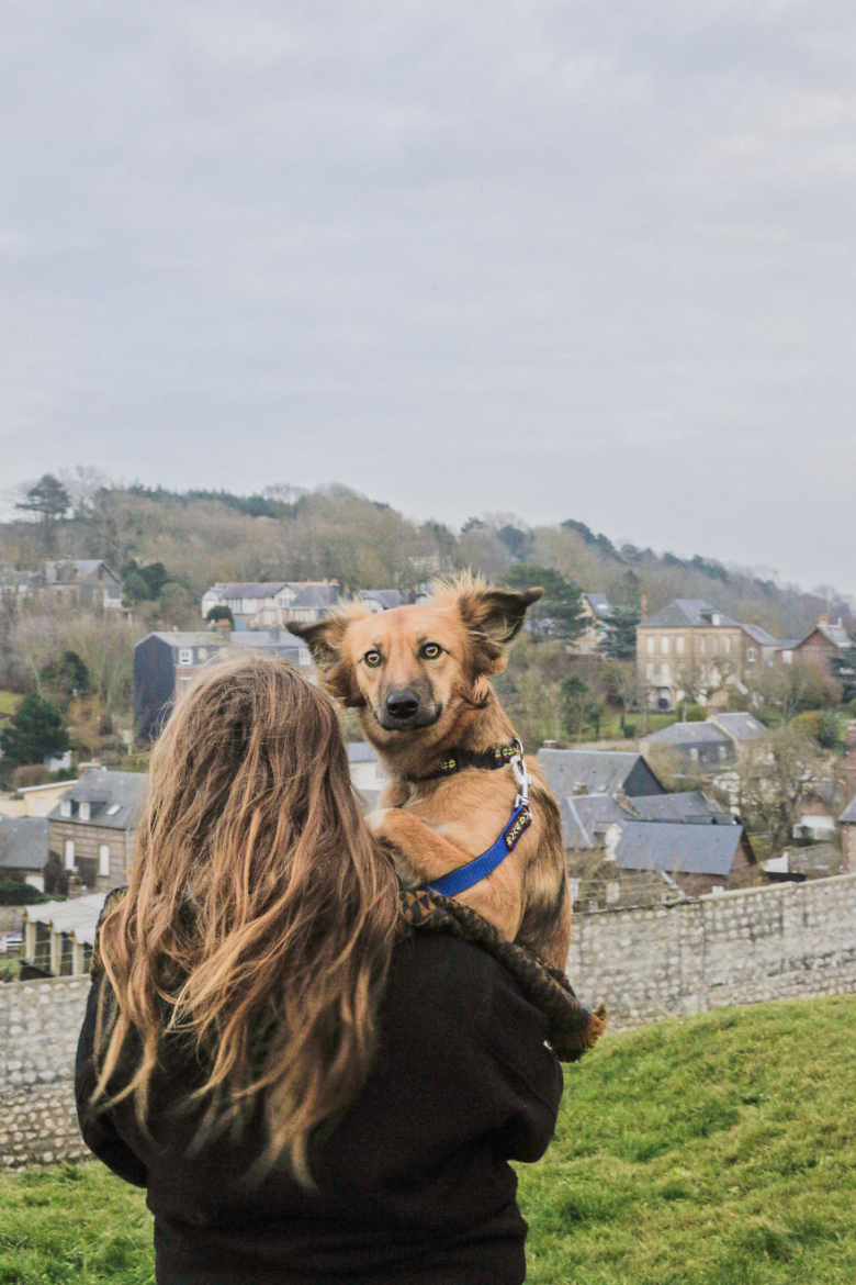 https://www.pets-dating.com/assets/ckeditor/2023/jun/actualities/2073/xl/xx-photos-sublimes-de-tofu-chienne-ayant-surmonte-son-passe-grace-aux-fleurs-et-a-la-randonnee-225d31c3c.jpg