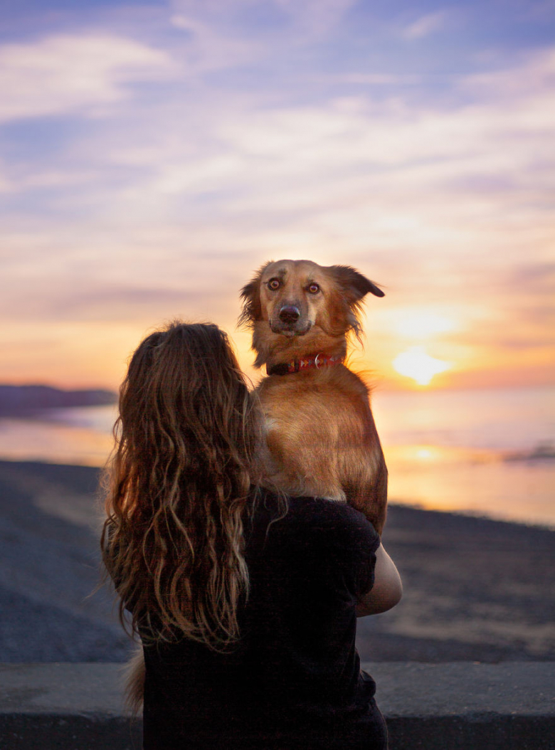 https://www.pets-dating.com/assets/ckeditor/2023/jun/actualities/2073/xl/xx-photos-sublimes-de-tofu-chienne-ayant-surmonte-son-passe-grace-aux-fleurs-et-a-la-randonnee-b315e81c6.jpg