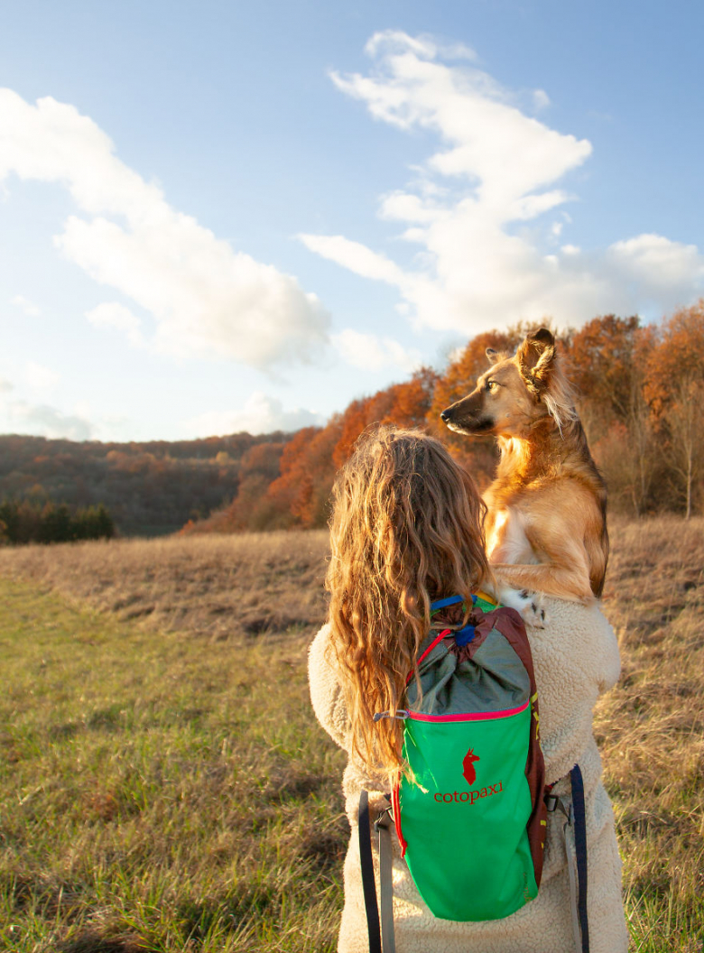 https://www.pets-dating.com/assets/ckeditor/2023/jun/actualities/2073/xl/xx-photos-sublimes-de-tofu-chienne-ayant-surmonte-son-passe-grace-aux-fleurs-et-a-la-randonnee-c1a3bf2fc.jpg