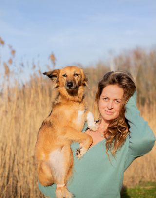 Illustration de l'article : 20 photos sublimes de Tofu, chienne ayant surmonté son passé grâce aux fleurs et à la randonnée