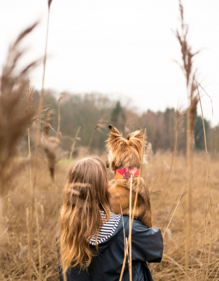 Illustration de l'article : 20 photos sublimes de Tofu, chienne ayant surmonté son passé grâce aux fleurs et à la randonnée