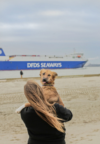 Illustration de l'article : 20 photos sublimes de Tofu, chienne ayant surmonté son passé grâce aux fleurs et à la randonnée