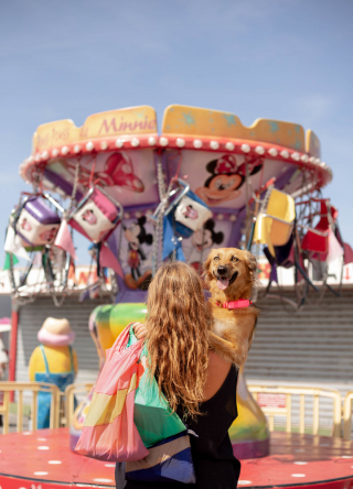 Illustration de l'article : 20 photos sublimes de Tofu, chienne ayant surmonté son passé grâce aux fleurs et à la randonnée