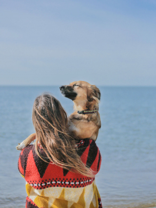 Illustration de l'article : 20 photos sublimes de Tofu, chienne ayant surmonté son passé grâce aux fleurs et à la randonnée