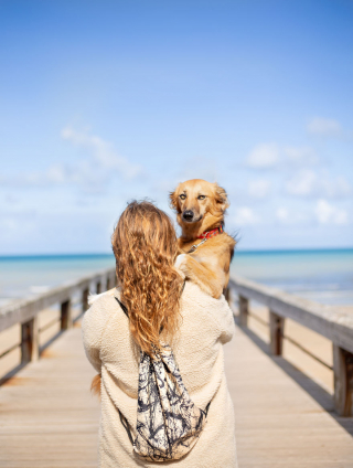 Illustration de l'article : 20 photos sublimes de Tofu, chienne ayant surmonté son passé grâce aux fleurs et à la randonnée