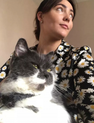 Illustration de l'article : 14 moments touchants où des chats distants ont décidé de s'installer sur les genoux de leur humain