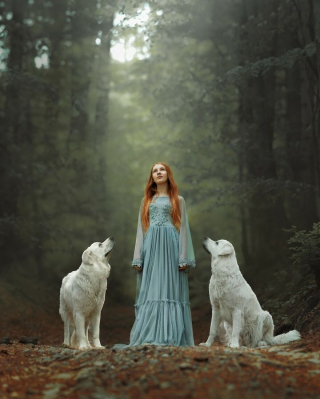 Illustration de l'article : 20 photos capturant le lien unique entre animaux et humains dans des décors empreints de magie