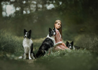 Illustration de l'article : 20 photos capturant le lien unique entre animaux et humains dans des décors empreints de magie