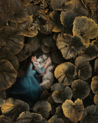 Illustration de l'article : 20 photos capturant le lien unique entre animaux et humains dans des décors empreints de magie