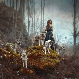 Illustration de l'article : 20 photos capturant le lien unique entre animaux et humains dans des décors empreints de magie