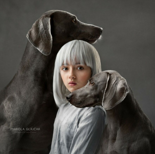 Illustration de l'article : 20 photos capturant le lien unique entre animaux et humains dans des décors empreints de magie