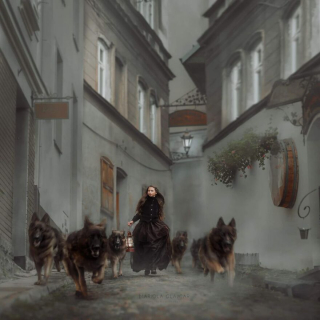 Illustration de l'article : 20 photos capturant le lien unique entre animaux et humains dans des décors empreints de magie