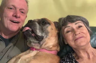 Illustration de l'article : Un couple décide d'offrir la possibilité à une chienne gravement malade de vivre ses derniers jours en beauté