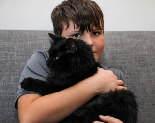 Illustration de l'article : Grâce à son passé de chat errant, ce félin adopté parvient à survivre dans des conditions extrêmes pendant 54 jours