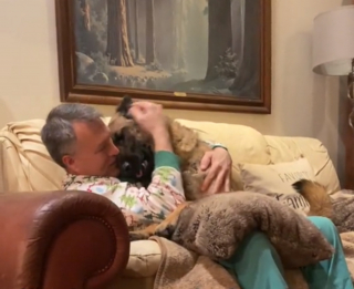 Illustration de l'article : L'histoire poignante de Turko, chien sauvé de l'euthanasie et surmontant ses peurs aux bras d'un papa bienveillant (vidéo)