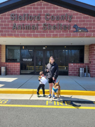 Illustration de l'article : Du jour au lendemain, cette chienne dont personne ne voulait reçoit de très nombreuses propositions d’adoption