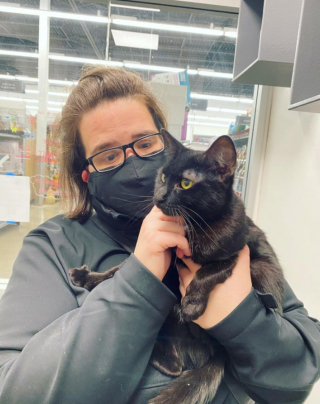 Illustration de l'article : &laquo; Ellie a &eacute;t&eacute; d&eacute;pos&eacute;e pour avoir voulu trop de c&acirc;lins &raquo; : l&rsquo;histoire de cette chatte mobilise la toile