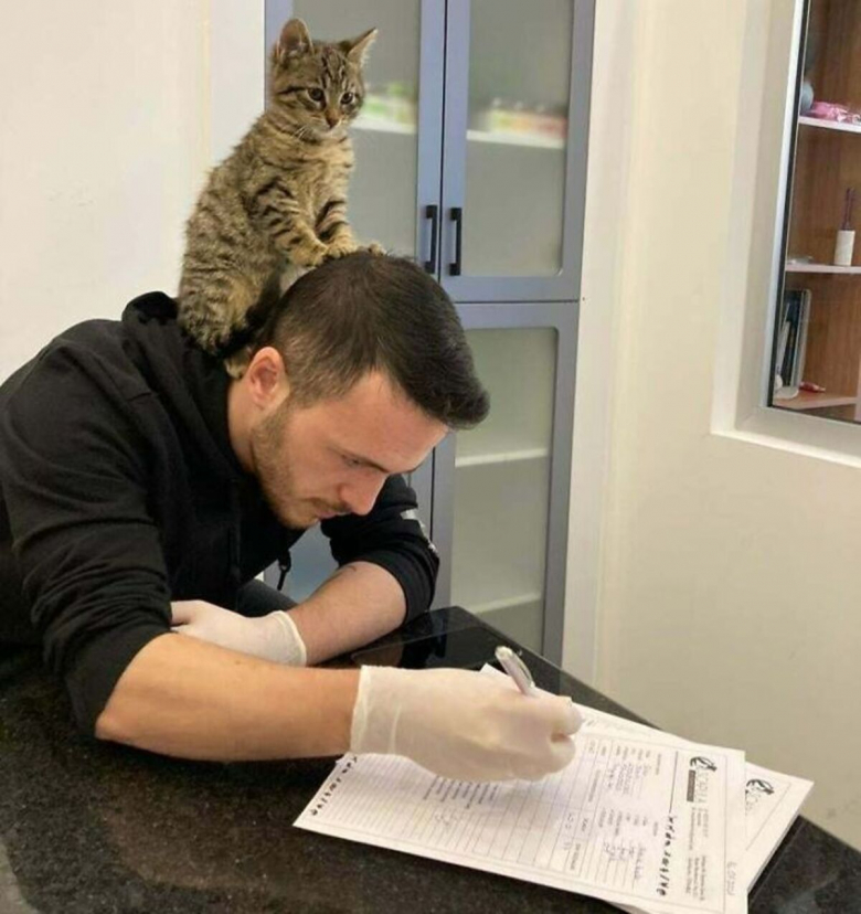 https://www.pets-dating.com/assets/ckeditor/2023/jun/actualities/2138/xl/63529187b83b6_veterinarian-job-moments.jpg