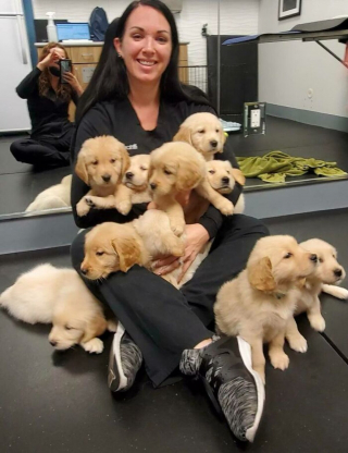 Illustration de l'article : 20 photos drôles et touchantes illustrant la relation unique qui existe entre animaux et vétérinaires