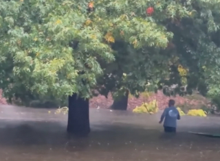Illustration de l'article : Un homme traverse un parc complètement inondé pour secourir un chat sur le point de se noyer (vidéo)