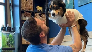 Illustration de l'article : Le parcours inspirant de Tobi : ce chien handicapé offre un soutien émotionnel précieux aux écoliers