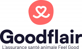 Illustration de l'article : La médaille connectée Goodflair : une innovation technologique pour retrouver rapidement votre animal perdu