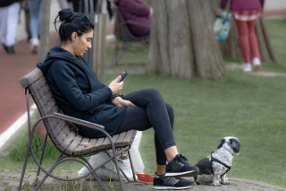 Illustration de l'article : 10 bienfaits insoupçonnés dont on profite en promenant son chien