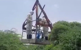 Illustration de l'article : Mobilisation générale pour sauver 2 chats et un chien coincés dans un puits de 15 mètres depuis des mois