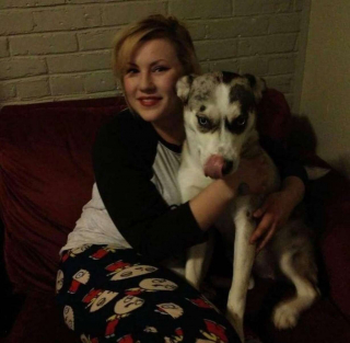 Illustration de l'article : Une chienne change de comportement lorsque sa propriétaire tombe enceinte et aime poser sa tête sur son ventre