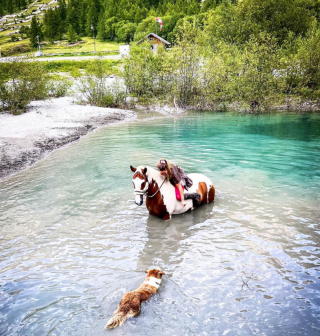 Illustration de l'article : Un cheval et une chienne aux couleurs similaires ressemblent à des sœurs et s'entendent comme telles