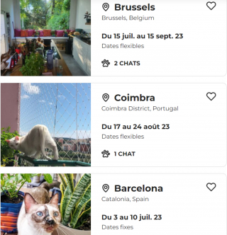 Illustration de l'article : Découvrez Nomador, le nouveau service convivial pour faire garder votre animal pendant vos vacances