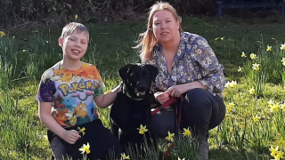 Illustration de l'article : Un Labrador agit en héros en voyant sa maîtresse prise au piège dans une rivière