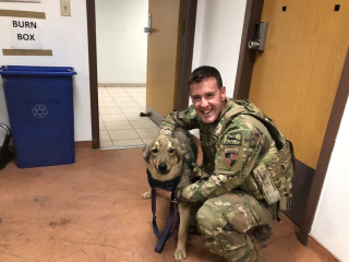 Illustration de l'article : Un militaire pensait ne plus jamais revoir son ami canin rencontré en Afghanistan, mais sa famille lui réservait une belle surprise