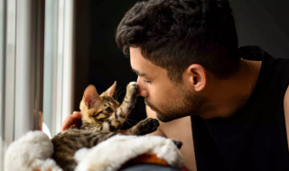 Illustration de l'article : 12 dépenses essentielles que tout propriétaire de chat doit prévoir