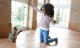 Illustration de l'article : 12 dépenses essentielles que tout propriétaire de chat doit prévoir