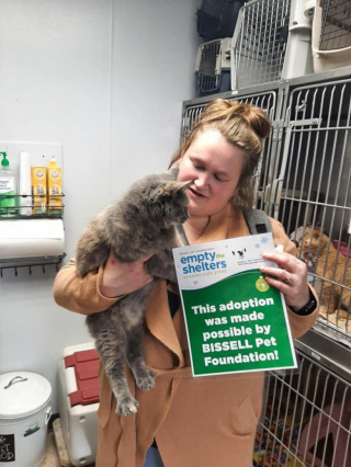 Illustration de l'article : Elle croit reconnaître son chat sur le site Internet d’un refuge, mais celui-ci ne porte pas le même nom