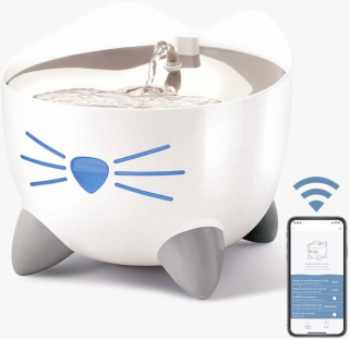 Illustration de l'article : Comment assurer un bien-être optimal et une bonne hydratation à nos amis félins durant l'été ?