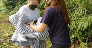 Illustration de l'article : Des personnes se mobilisent pour sauver un chiot kidnappé par un singe