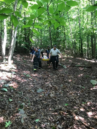 Illustration de l'article : Malgr&eacute; son grand &acirc;ge et ses probl&egrave;mes de sant&eacute;, Sampson survit miraculeusement &agrave; une chute dans un ravin