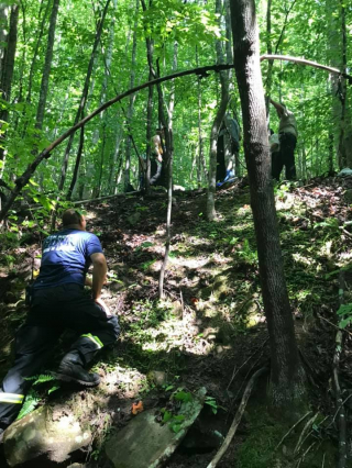 Illustration de l'article : Malgr&eacute; son grand &acirc;ge et ses probl&egrave;mes de sant&eacute;, Sampson survit miraculeusement &agrave; une chute dans un ravin