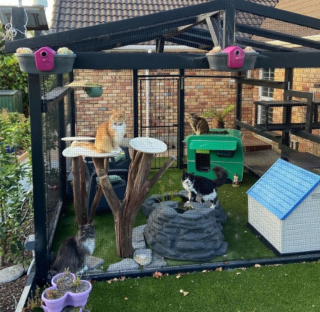 Illustration de l'article : 14 photos de chats heureux d’accueillir le printemps