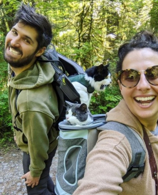 Illustration de l'article : 14 photos de chats heureux d’accueillir le printemps